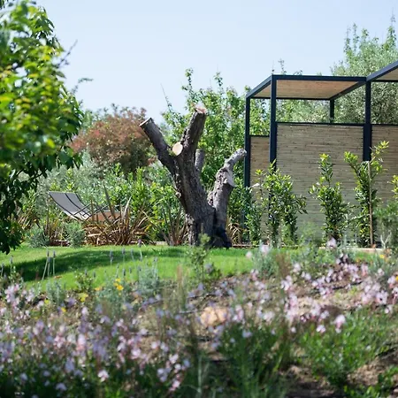 Antigoni Seaside 4* Chalkidiki