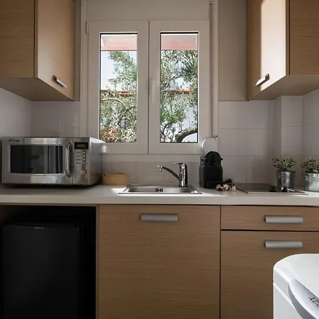 Antigoni Seaside ホテル Chalkidiki