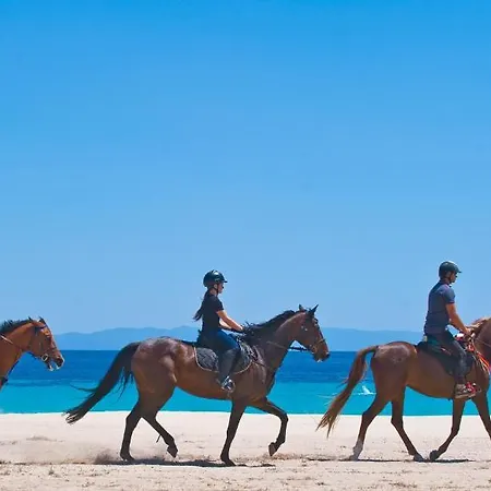 ホテル Antigoni Seaside Chalkidiki