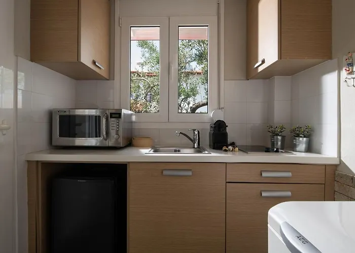 Antigoni Seaside Hotel Calcídica