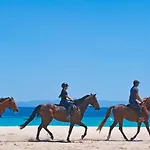 Hotel Antigoni Seaside Chalkidiki