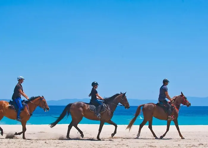 Otel Antigoni Seaside Halkidiki
